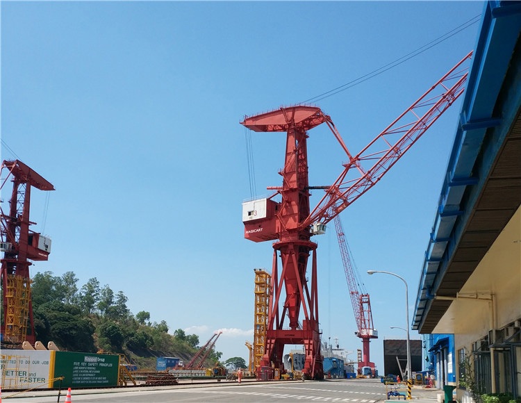 Level-Luffing-Portal-Crane-13