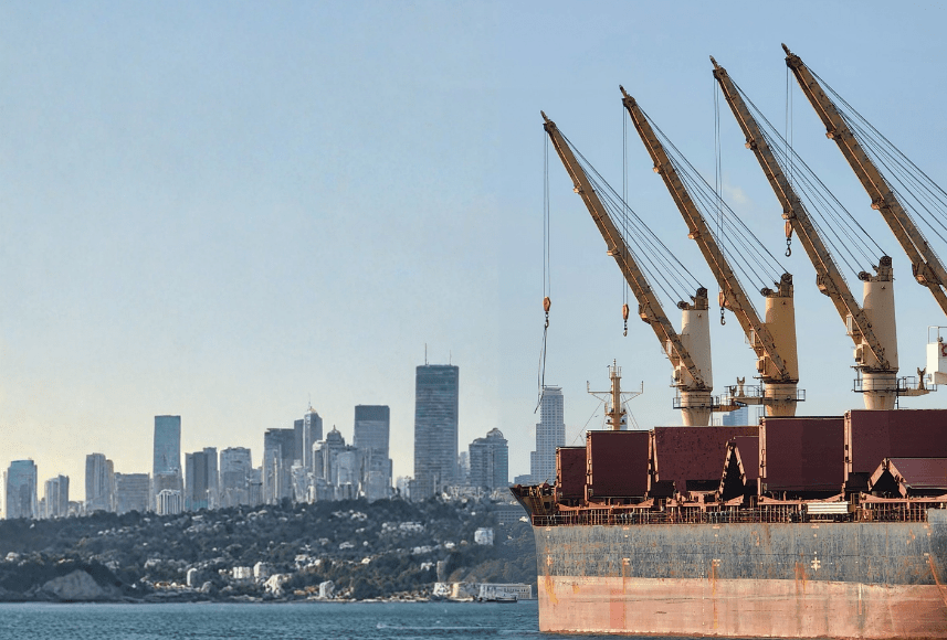 Marine Pedestal Cranes